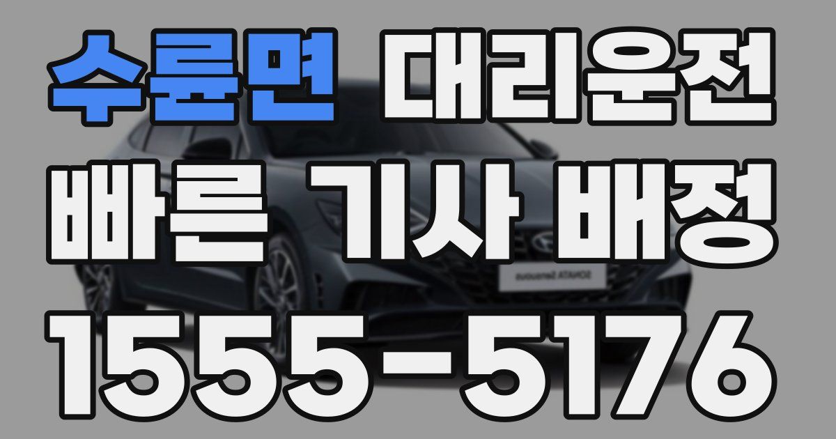 일일대리기사