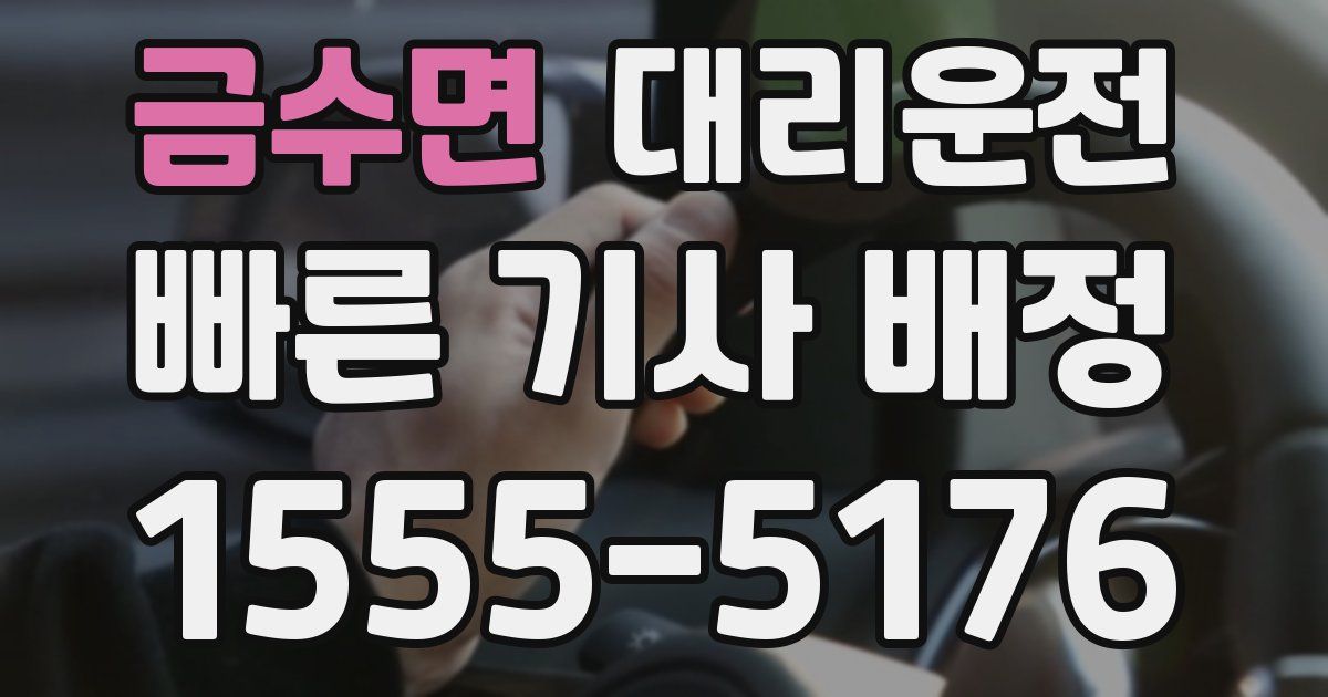 일일대리기사