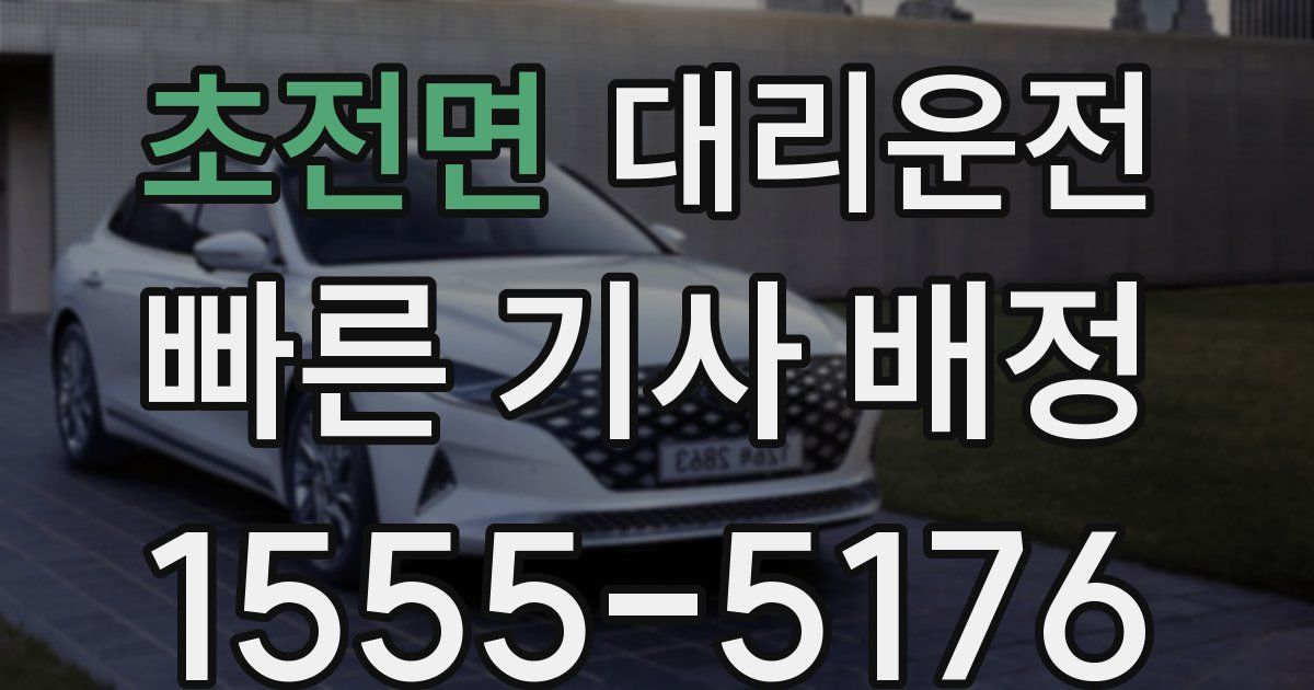 일일대리기사
