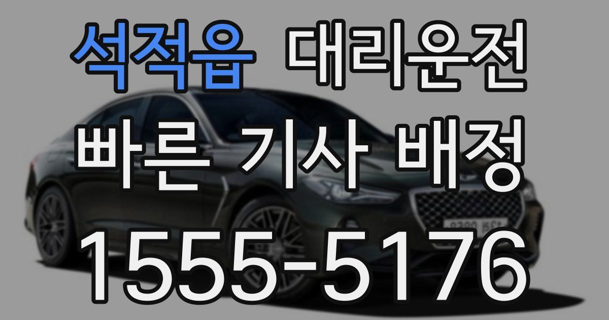 일일대리기사
