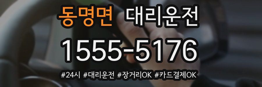 동명면 대리운전
