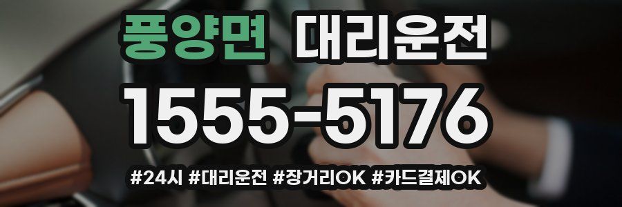 풍양면 대리운전