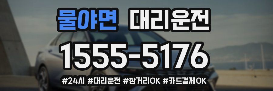 물야면 대리운전