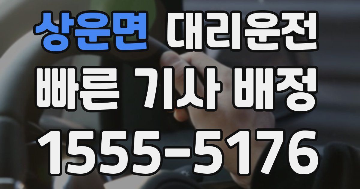 일일대리기사