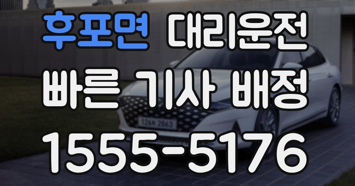 일일대리기사