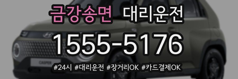 금강송면 대리운전