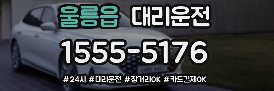 울릉읍 대리운전