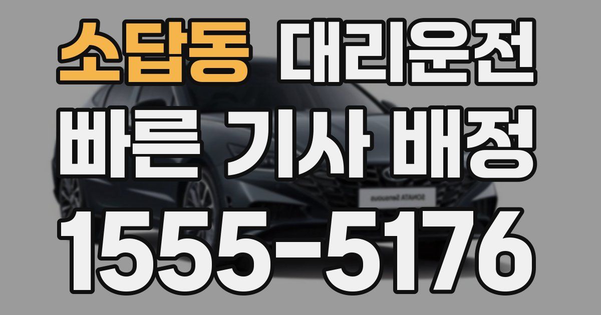 일일대리기사
