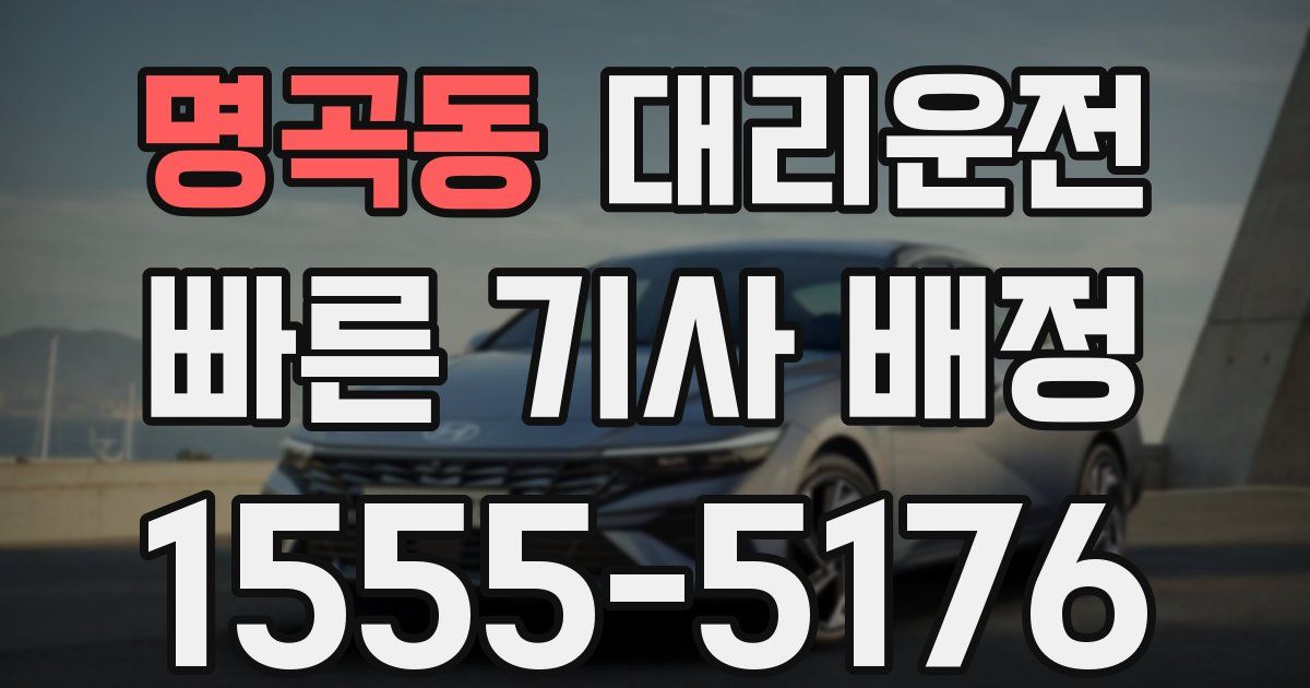 일일대리기사