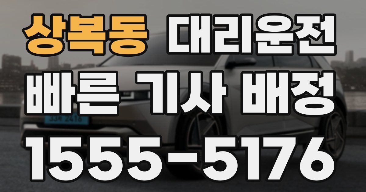 일일대리기사