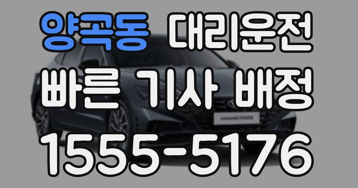 일일대리기사