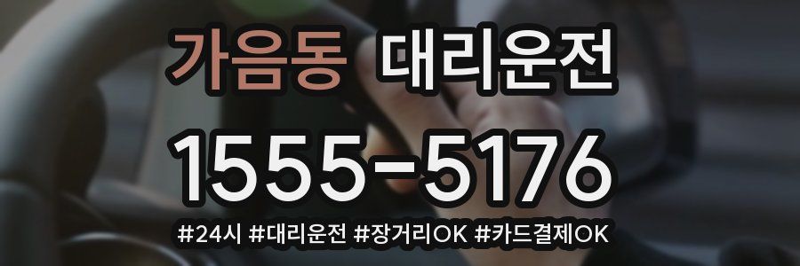가음동 대리운전