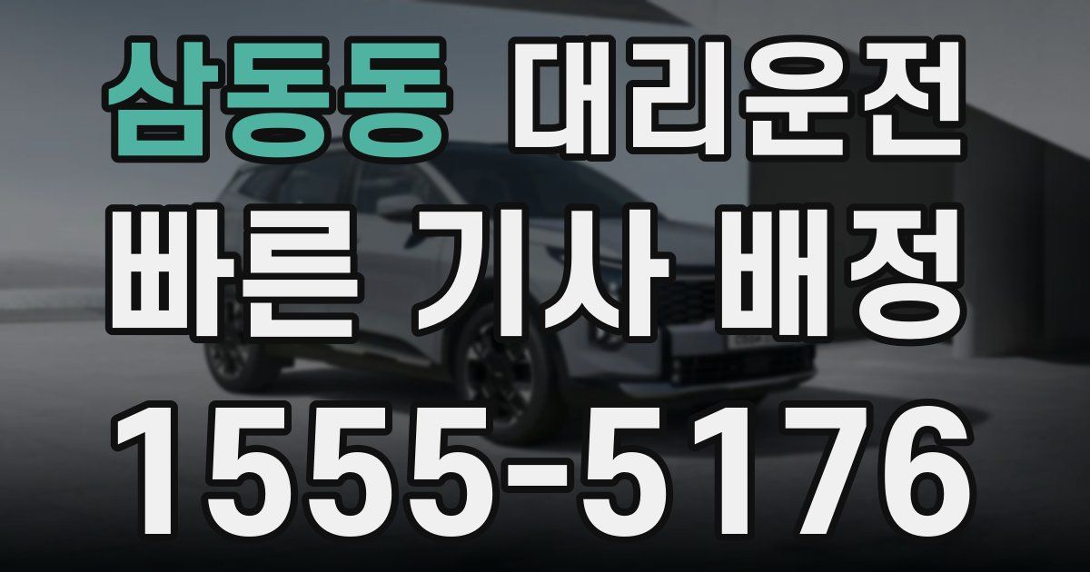 일일대리기사