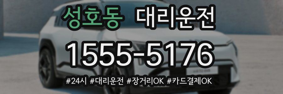 성호동 대리운전