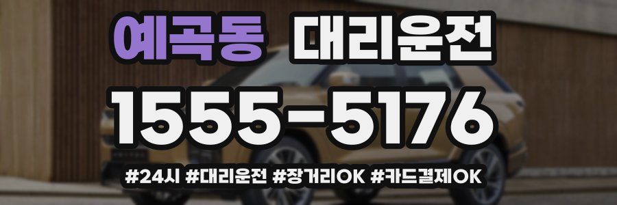 예곡동 대리운전