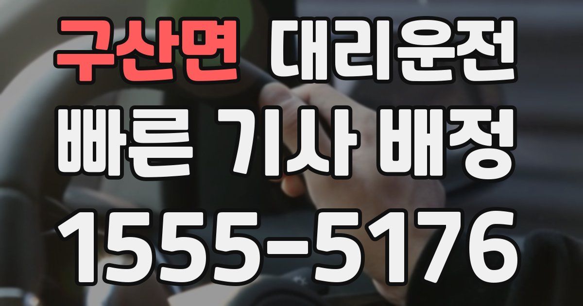 일일대리기사