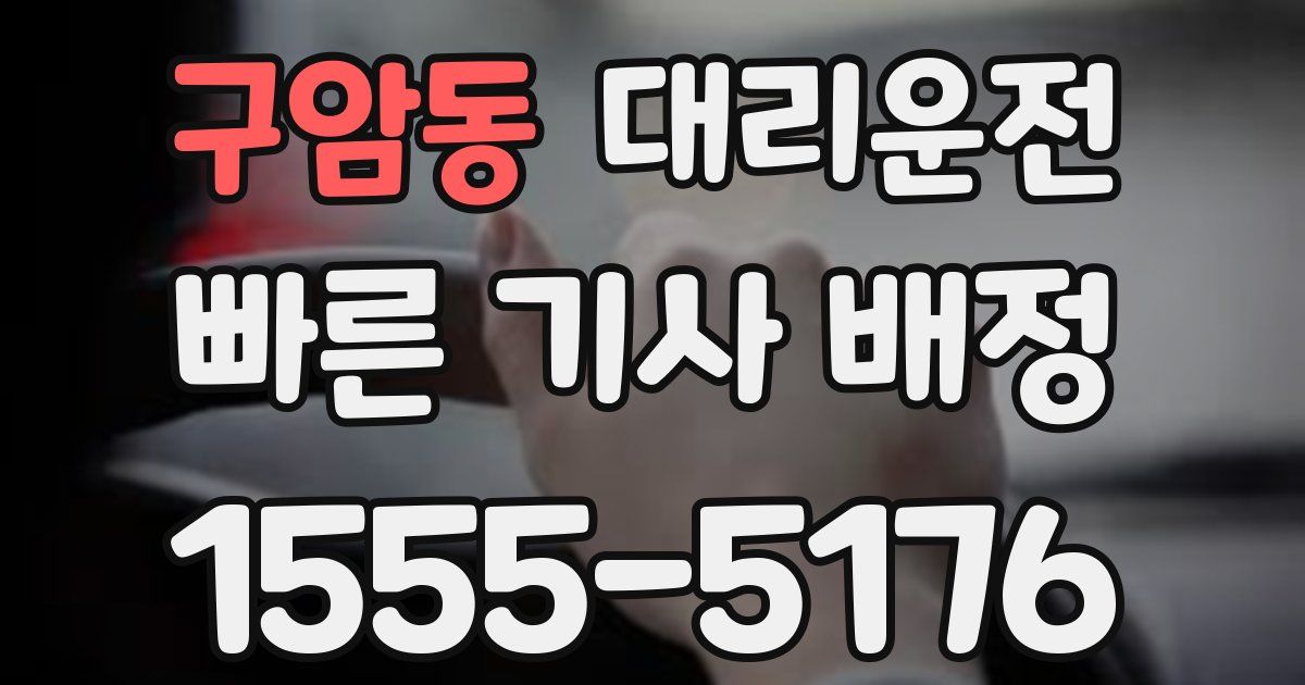 일일대리기사