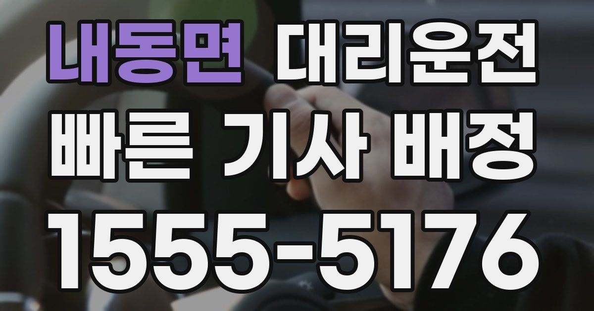 일일대리기사