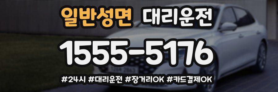 일반성면 대리운전