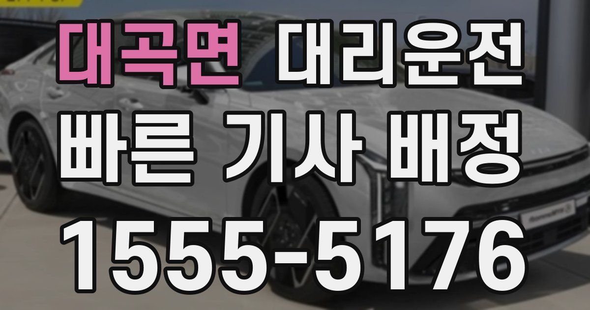 일일대리기사