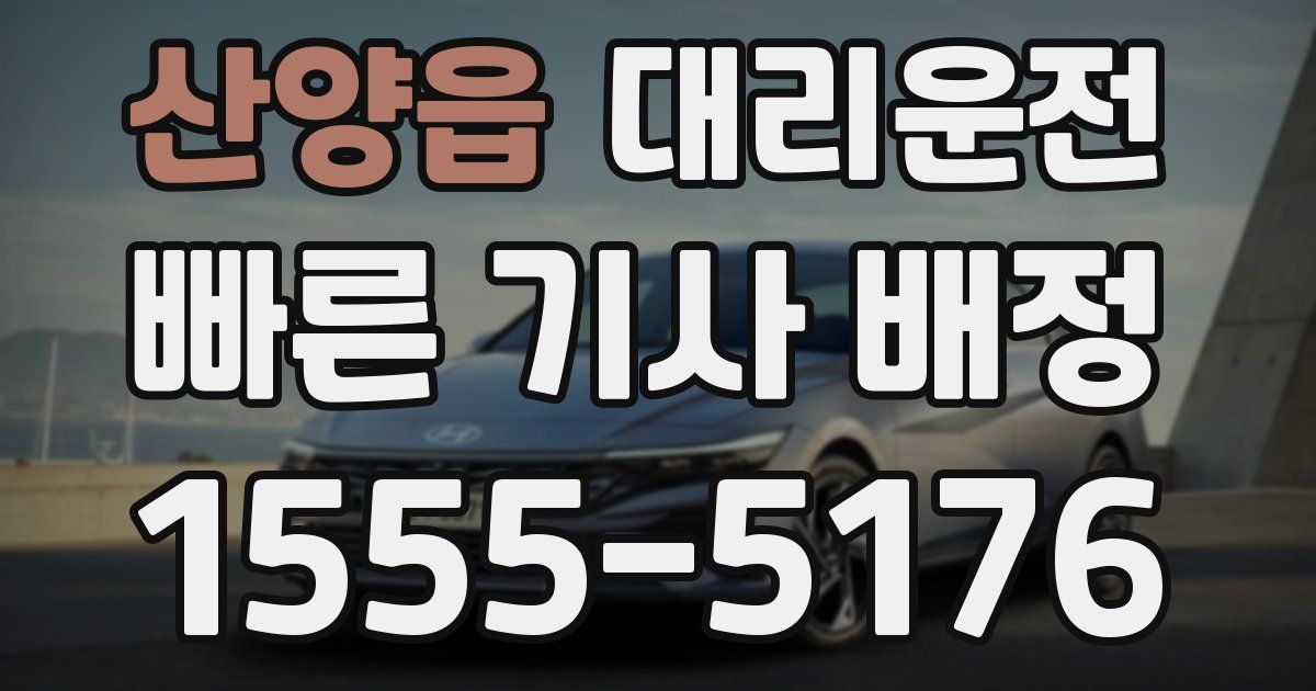 일일대리기사