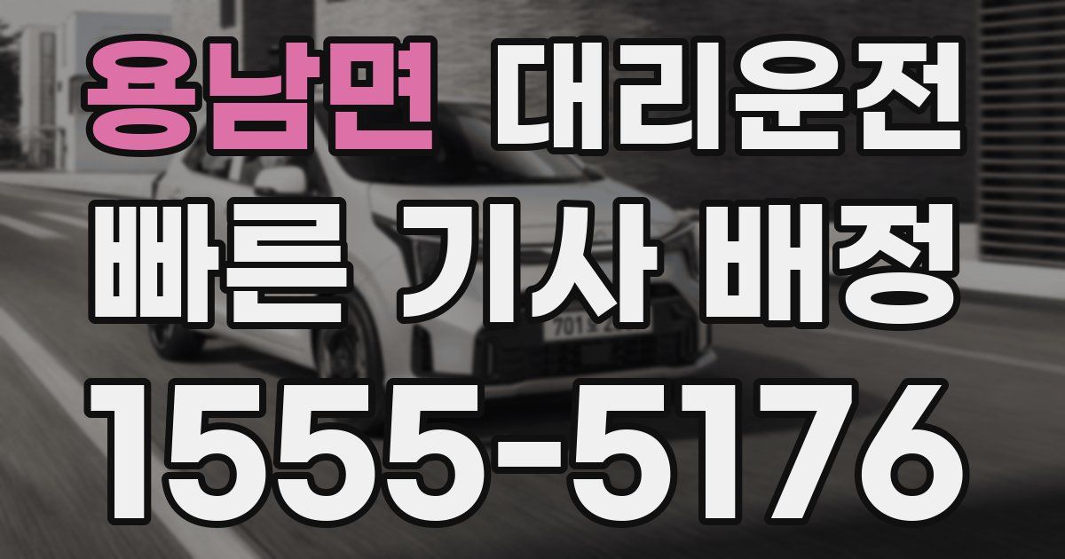 일일대리기사