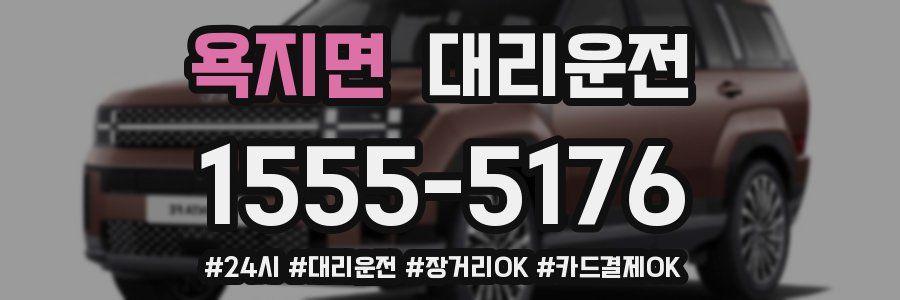 욕지면 대리운전