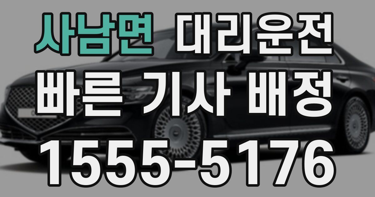 일일대리기사