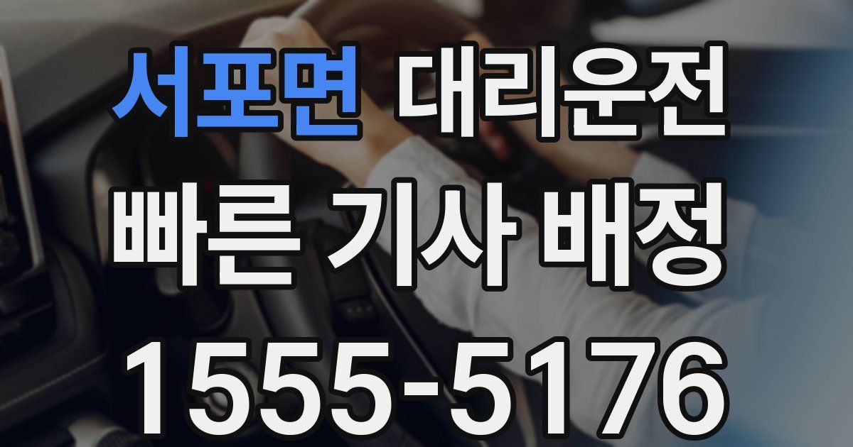 일일대리기사
