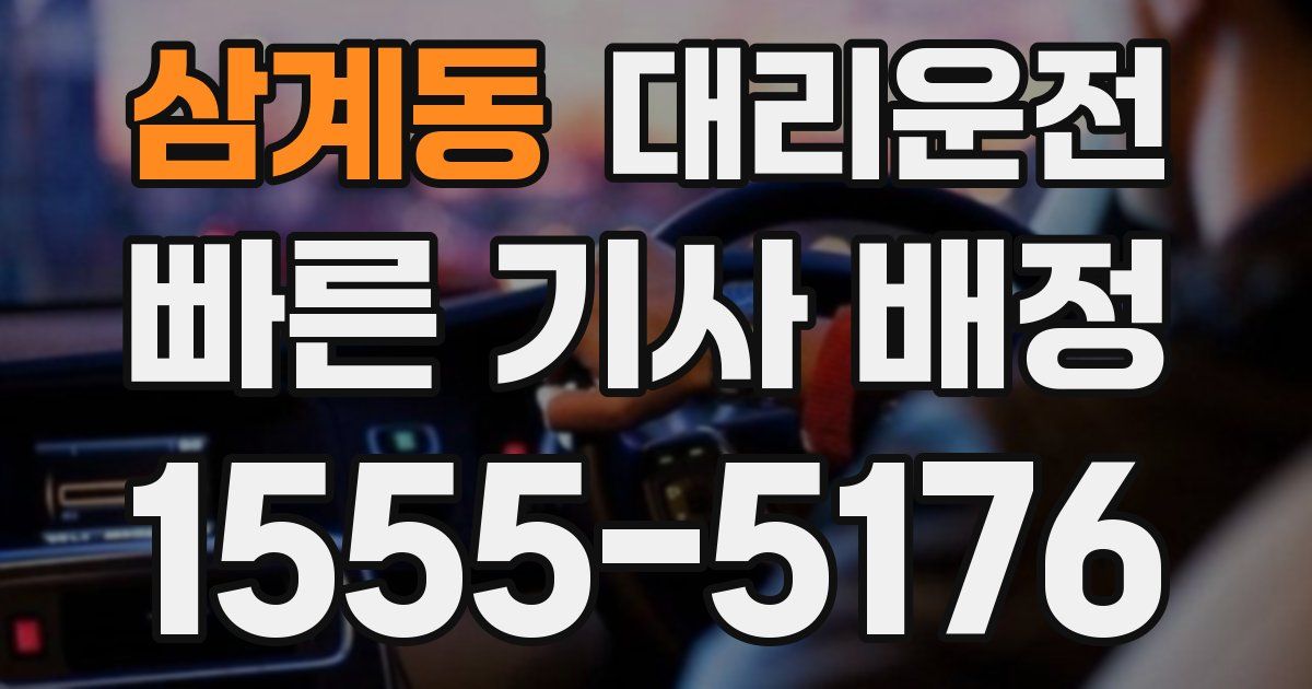 일일대리기사