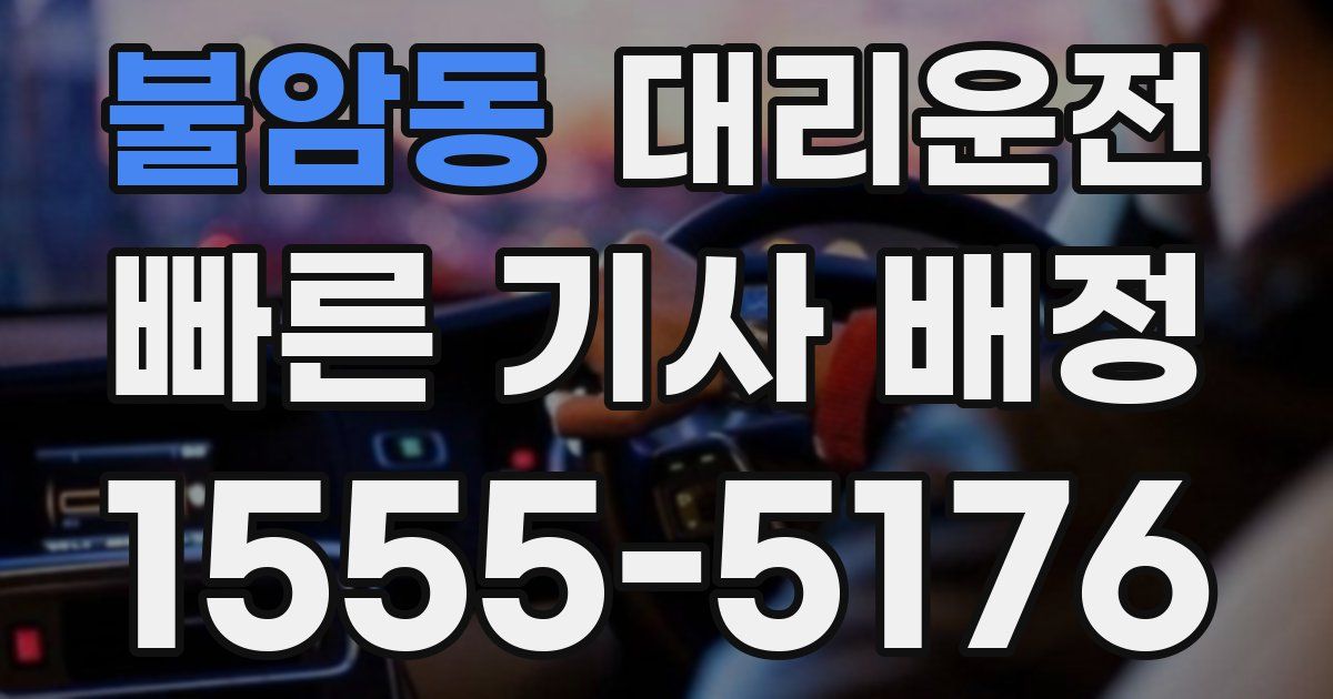 일일대리기사