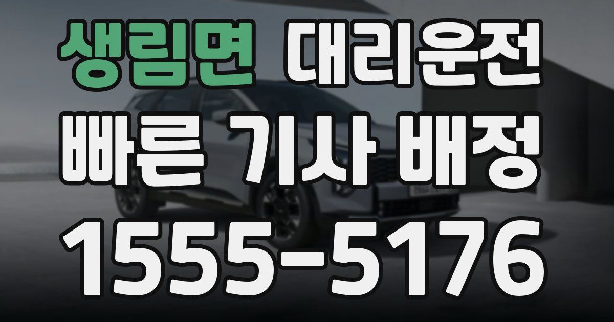 일일대리기사