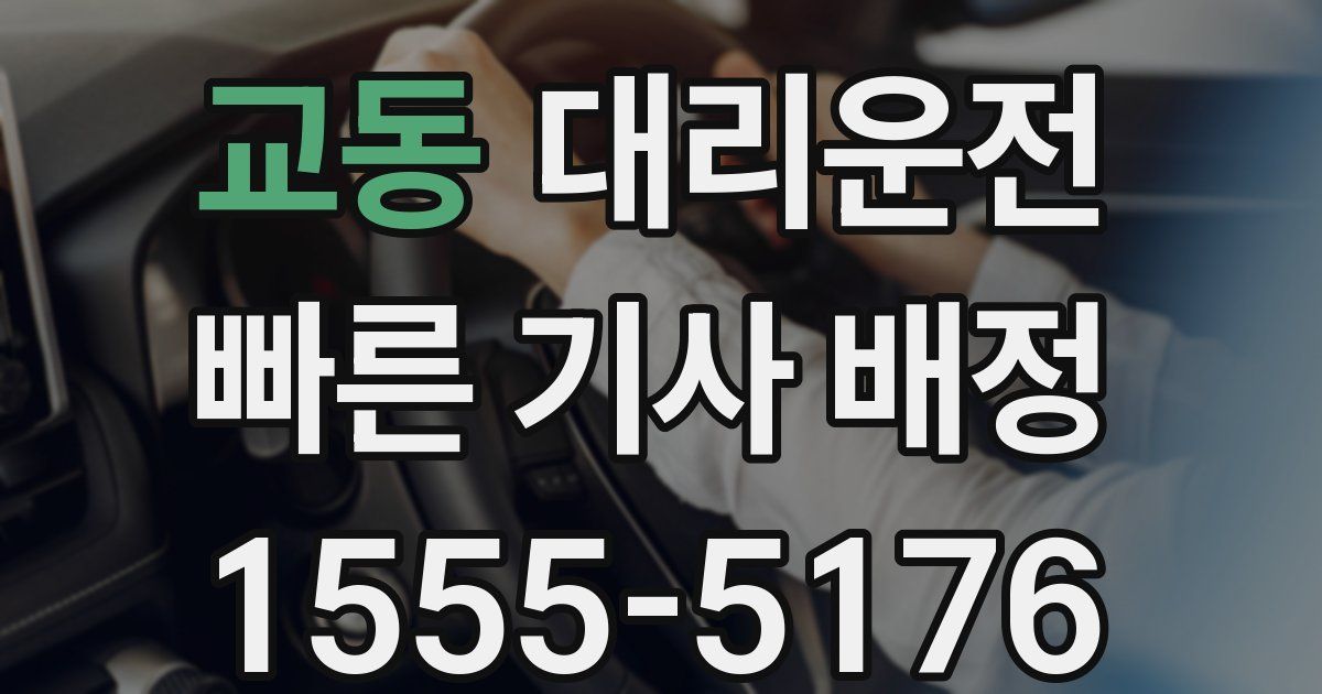 일일대리기사