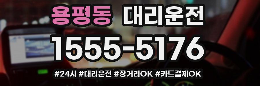 용평동 대리운전
