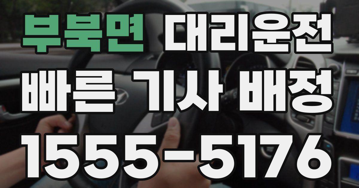 일일대리기사