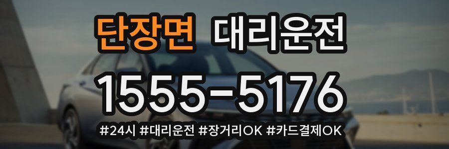 단장면 대리운전