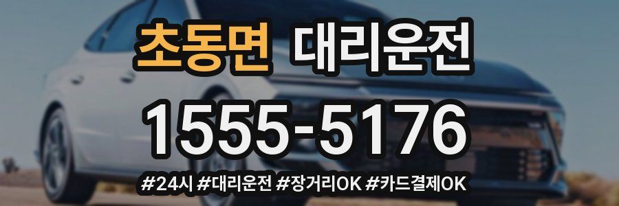 초동면 대리운전