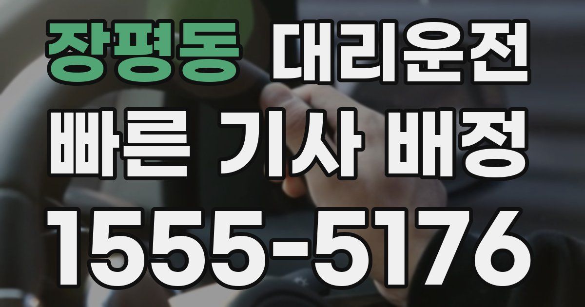 일일대리기사