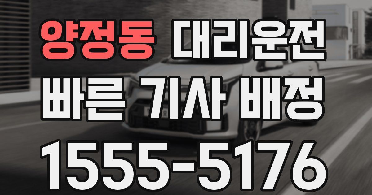 일일대리기사