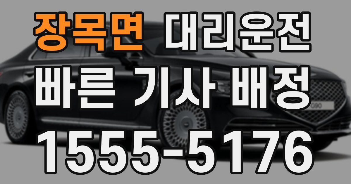 일일대리기사