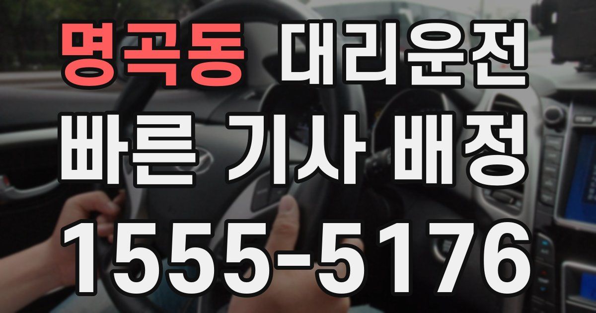 일일대리기사