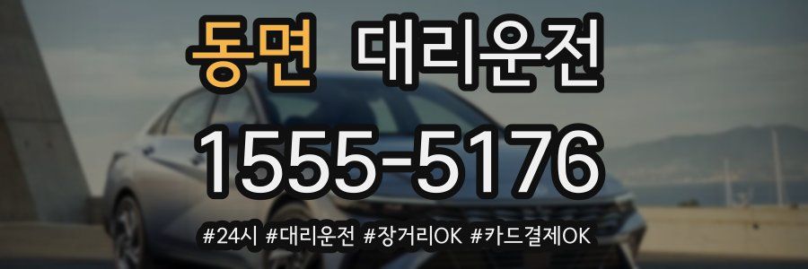 동면 대리운전