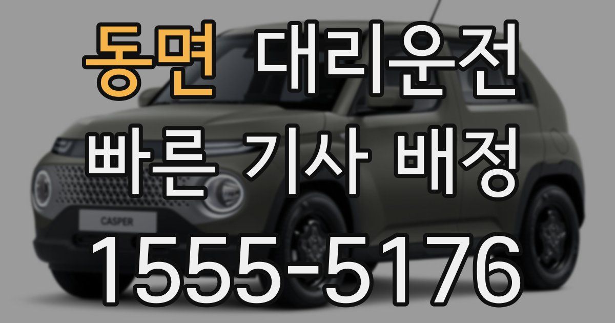 일일대리기사