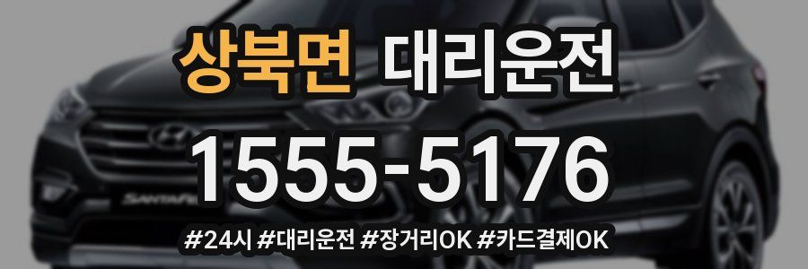 상북면 대리운전