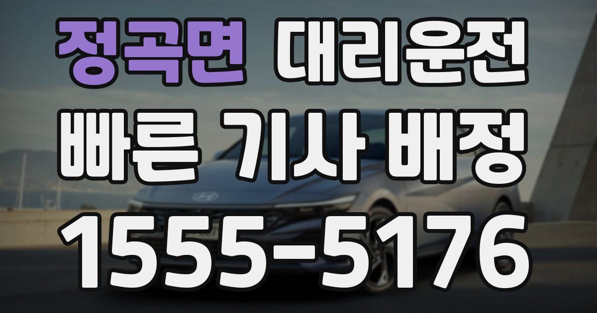 일일대리기사