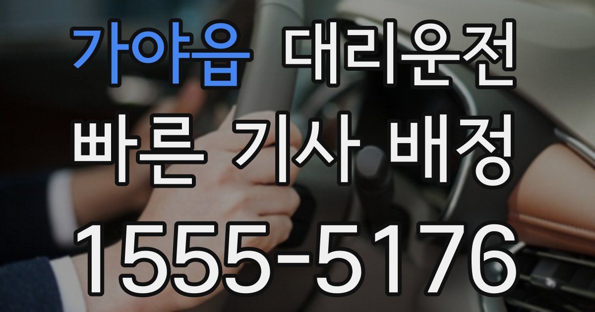 일일대리기사