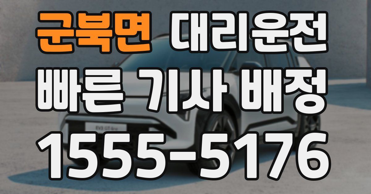 일일대리기사
