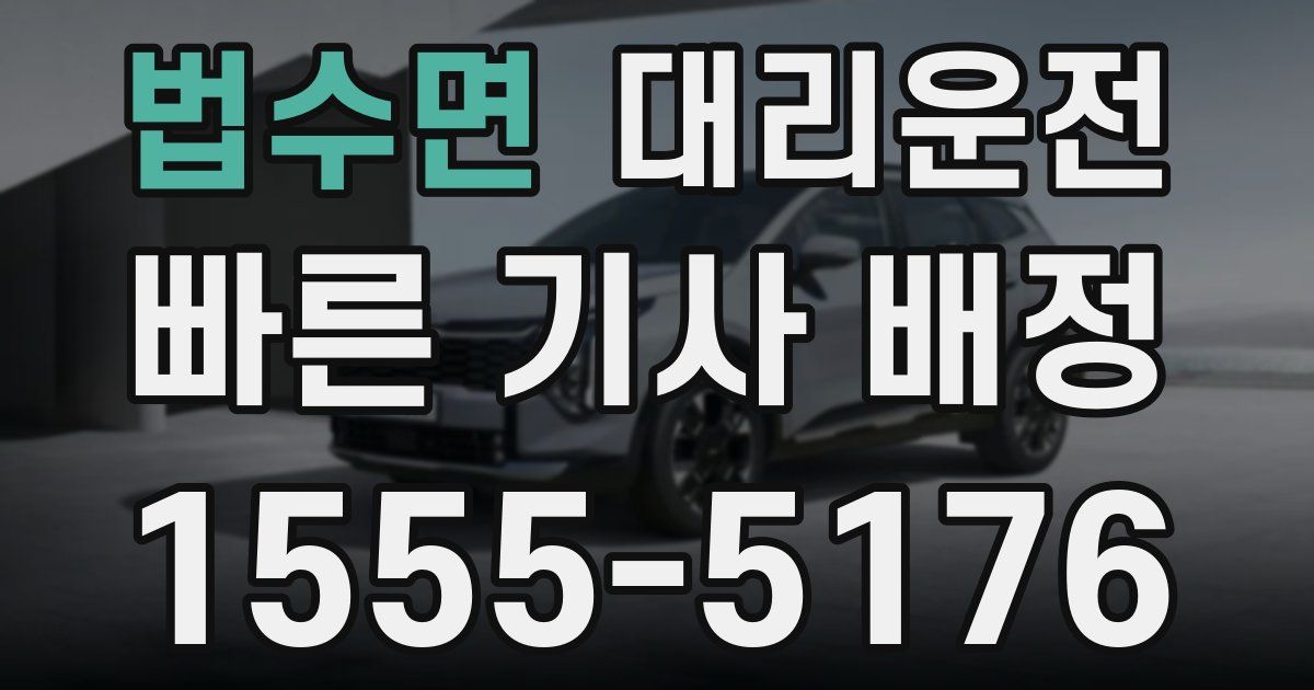 일일대리기사