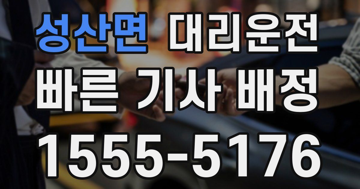 일일대리기사