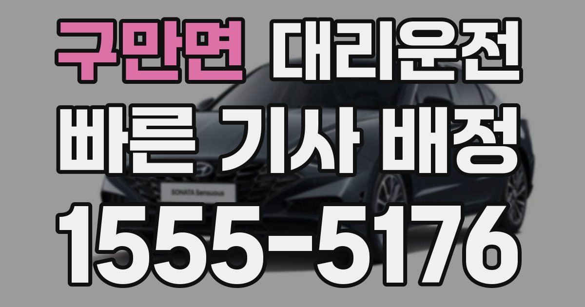 일일대리기사